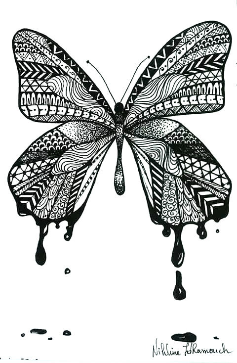 butterfly